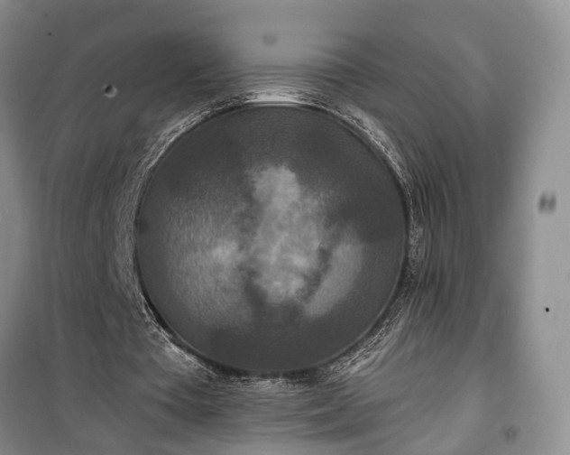 X0000100360385200806131020