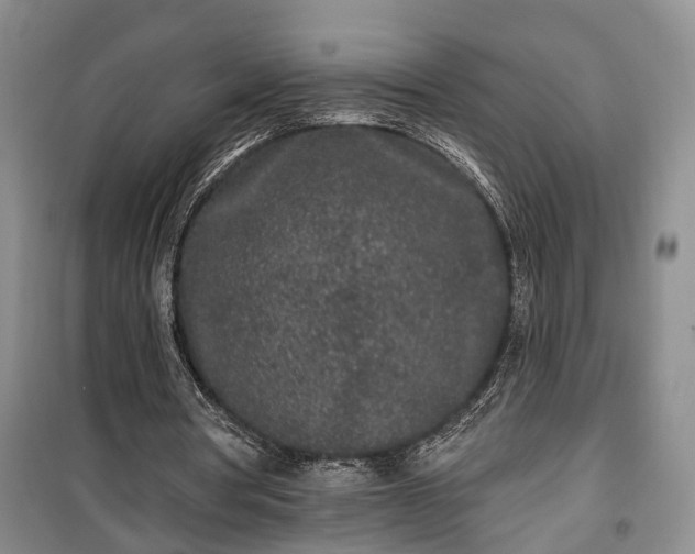 X0000100360386200806131020