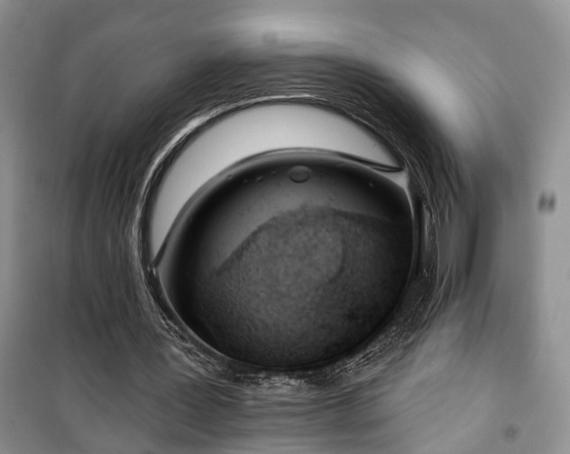 X0000100360387200806131020