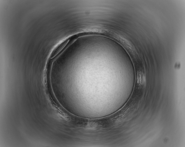 X0000100360388200806131020