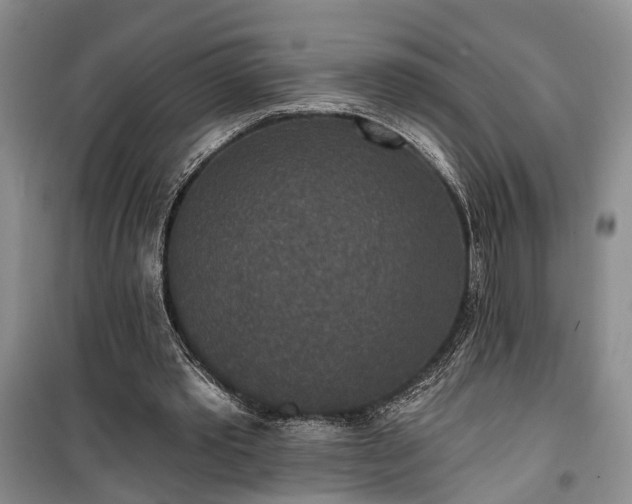 X0000100360389200806131019