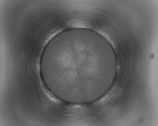 X0000100360390200806131019