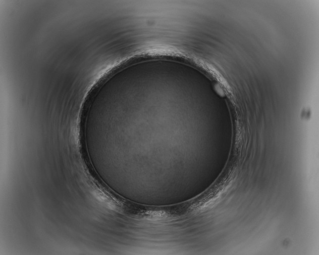 X0000100360391200806131019