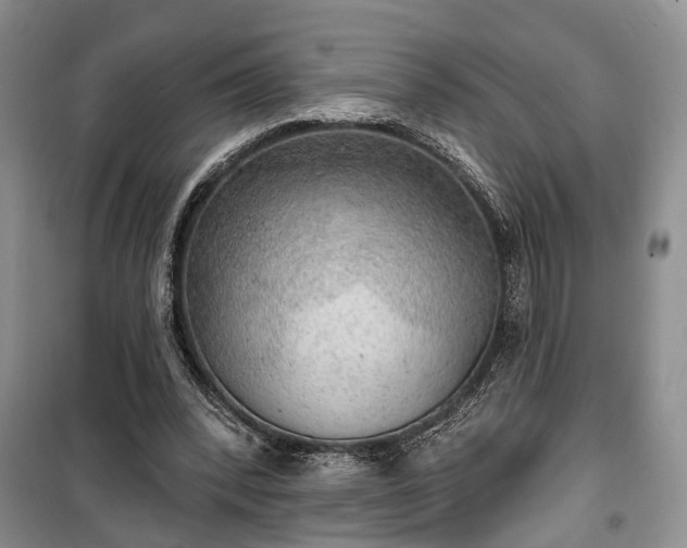 X0000100360392200806131019