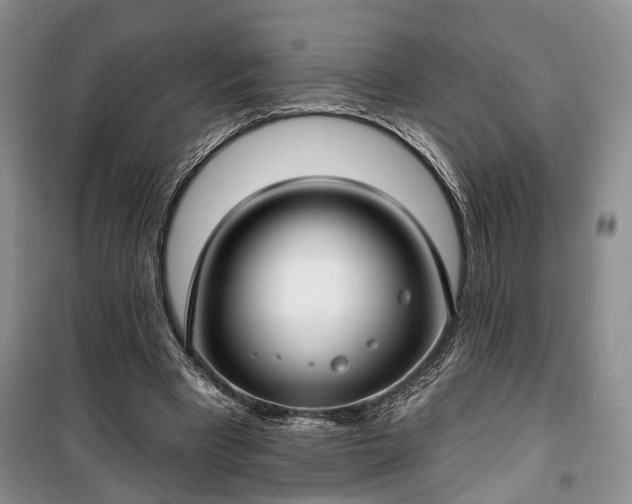 X0000100360393200806131019