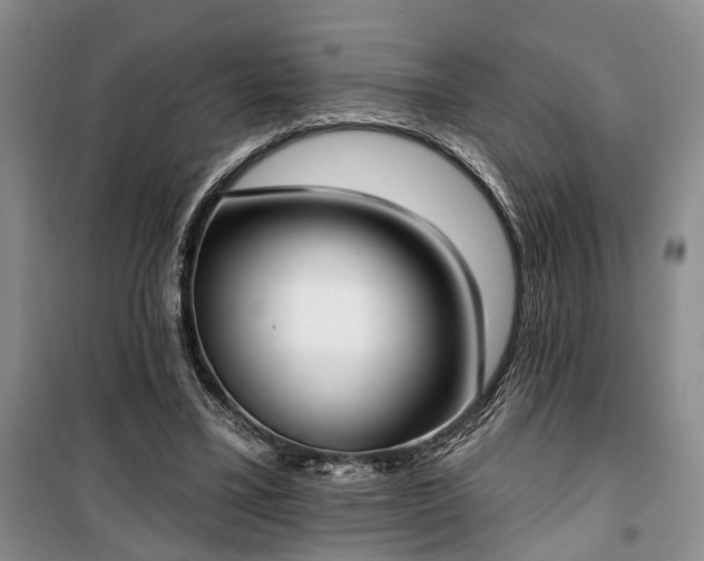 X0000100360395200806131019