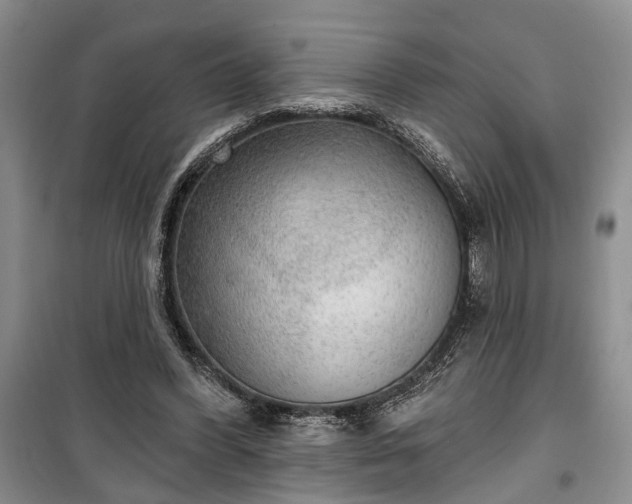 X0000100360396200806131019