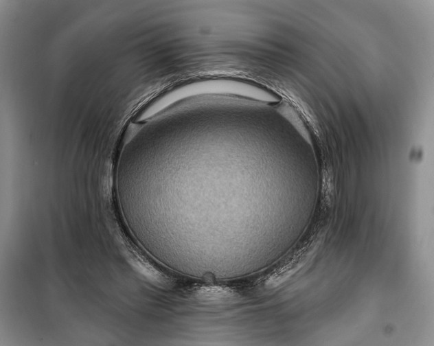 X0000100360397200806131019