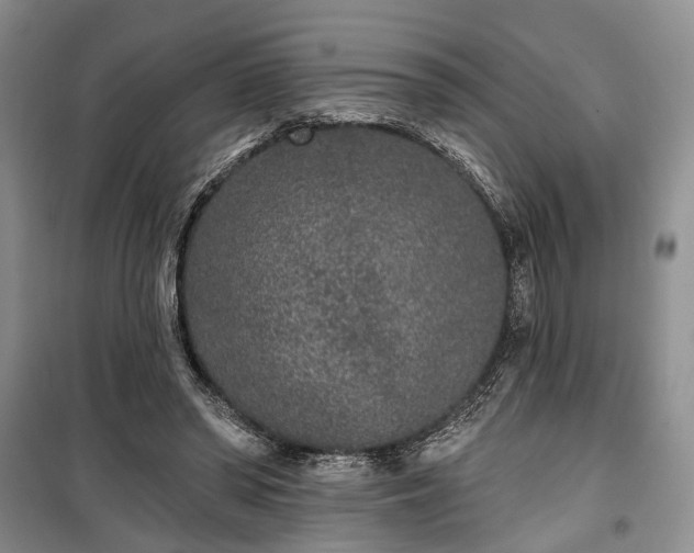 X0000100360398200806131019