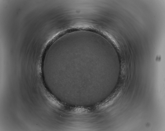 X0000100360399200806131019