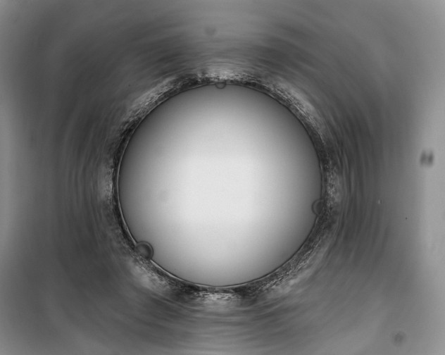 X0000100360401200806131019