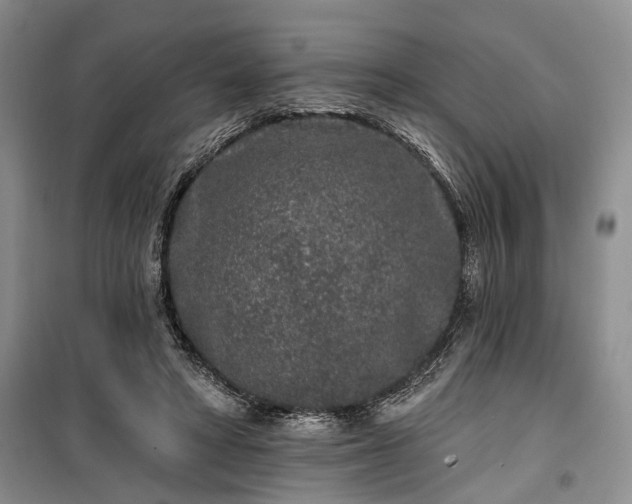 X0000100360402200806131019