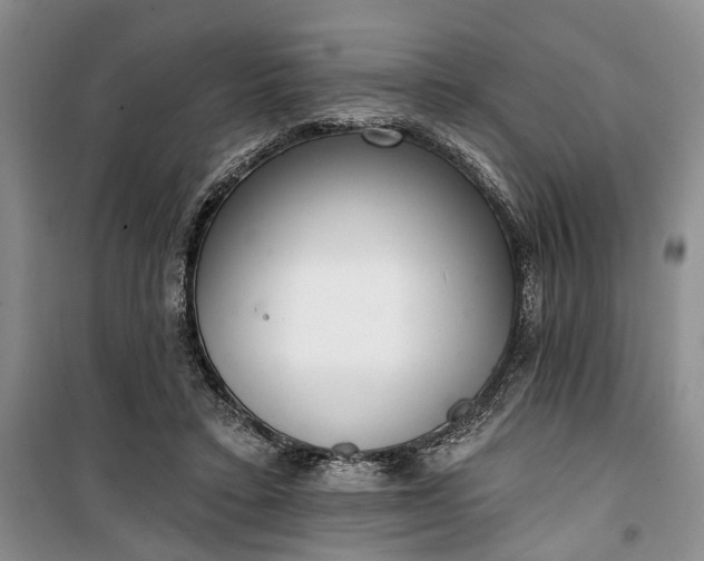 X0000100360403200806131019