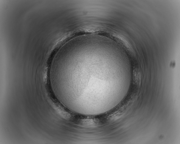 X0000100360404200806131019