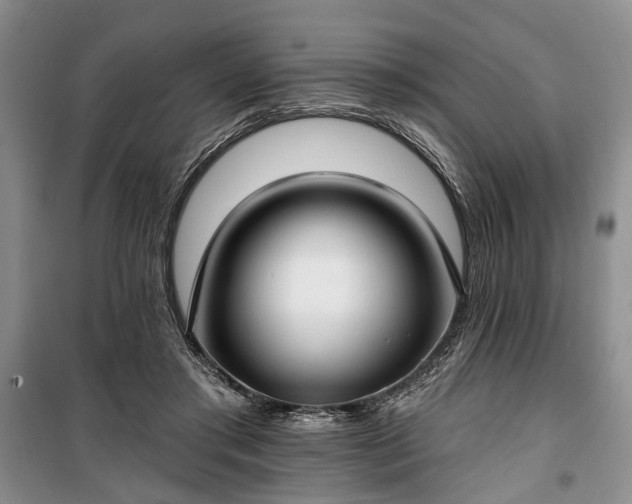 X0000100360405200806131019