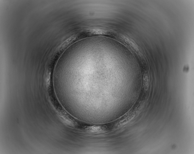 X0000100360406200806131019