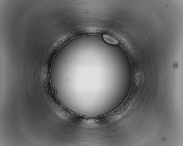 X0000100360407200806131019