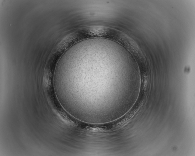 X0000100360408200806131019