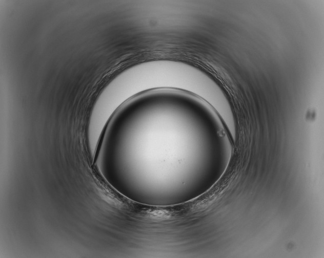 X0000100360409200806131019