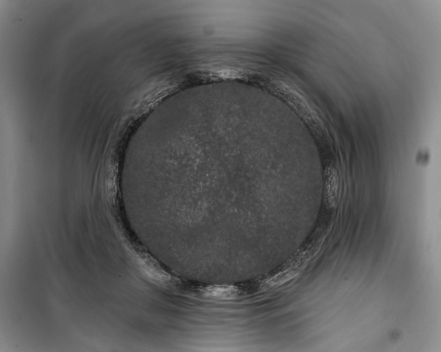 X0000100360410200806131019