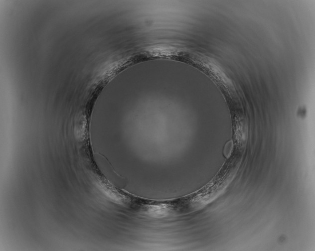 X0000100360411200806131019