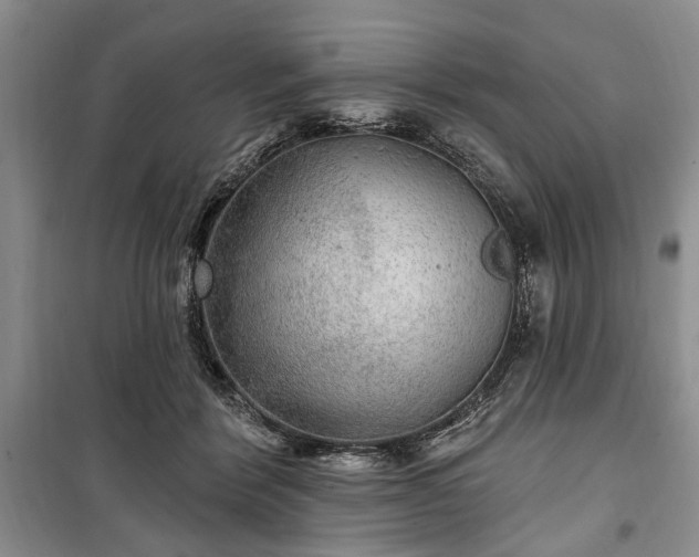 X0000100360412200806131019