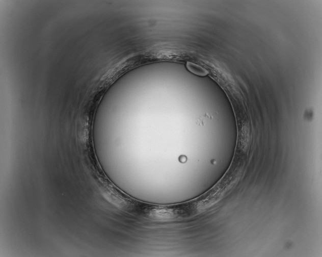 X0000100360413200806131019