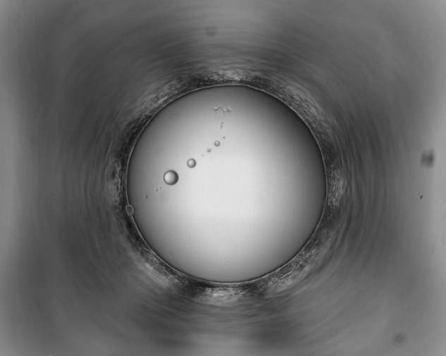 X0000100360414200806131019