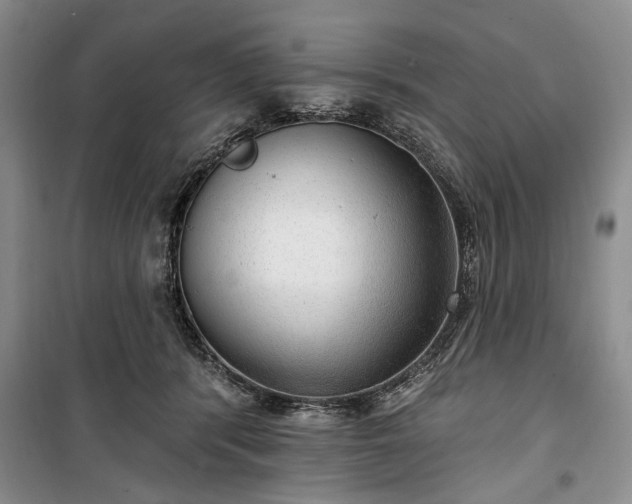 X0000100360416200806131019