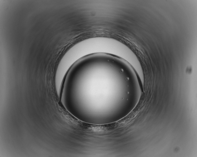 X0000100360417200806131019