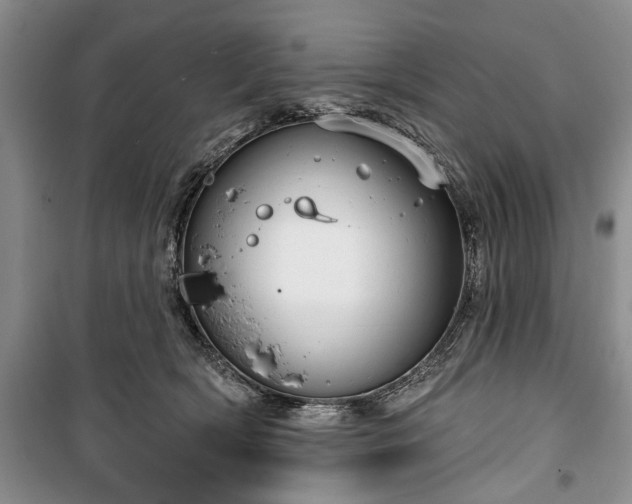 X0000100360418200806131019