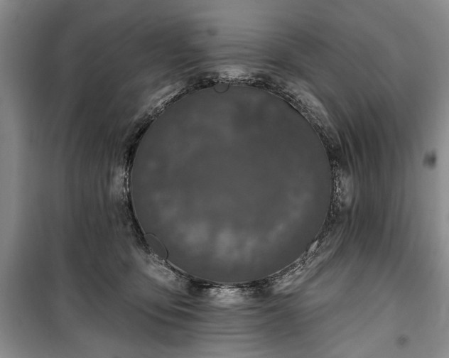 X0000100360419200806131019