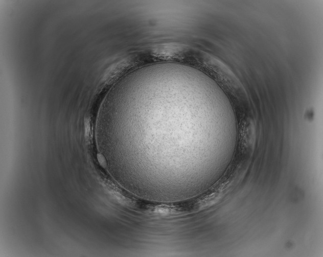 X0000100360420200806131019