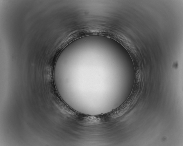 X0000100360421200806131019