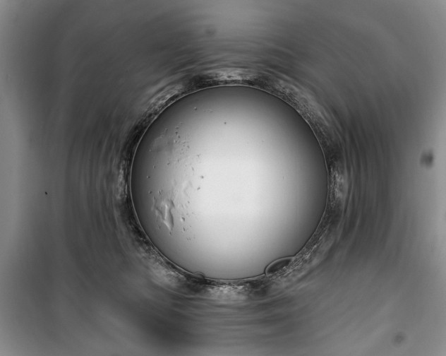 X0000100360422200806131019