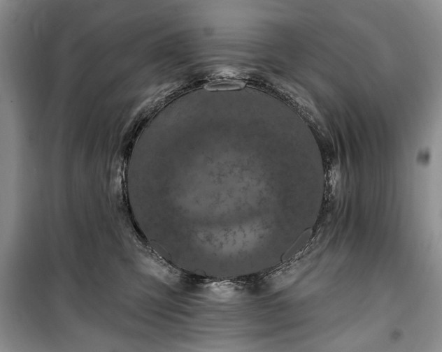 X0000100360423200806131019