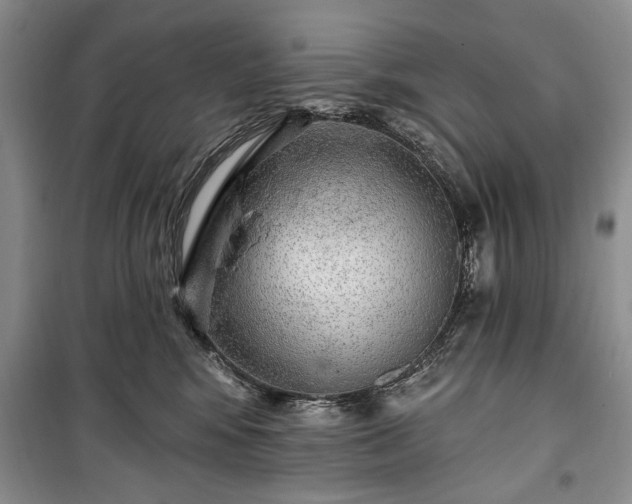 X0000100360424200806131019