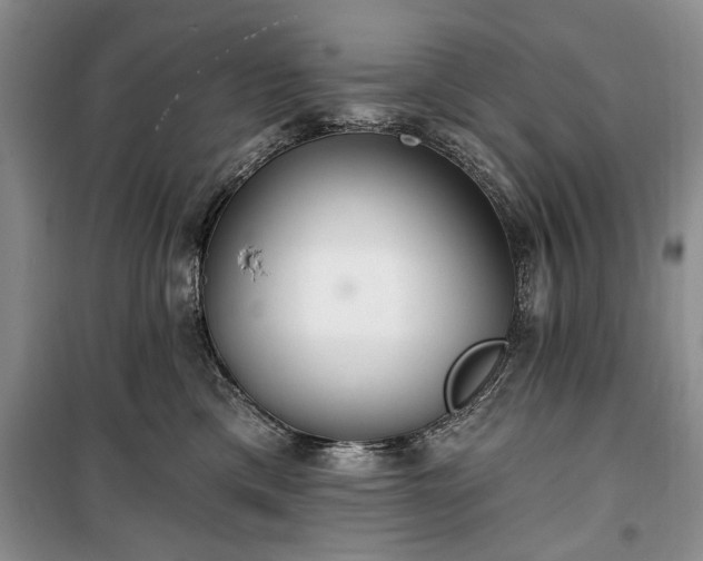 X0000100360425200806131019