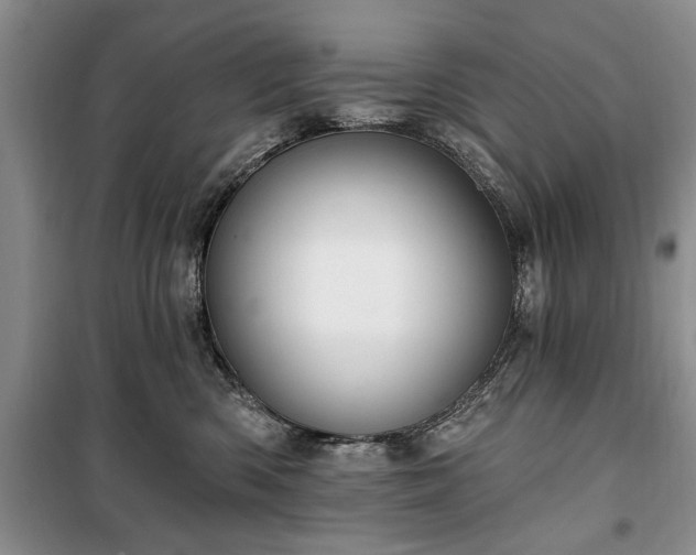 X0000100360426200806131019