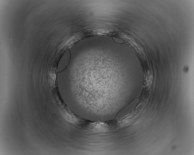 X0000100360427200806131019