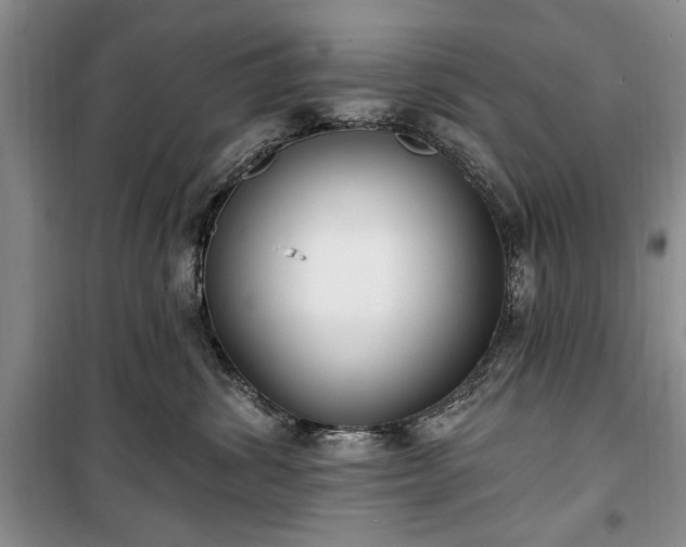 X0000100360428200806131019