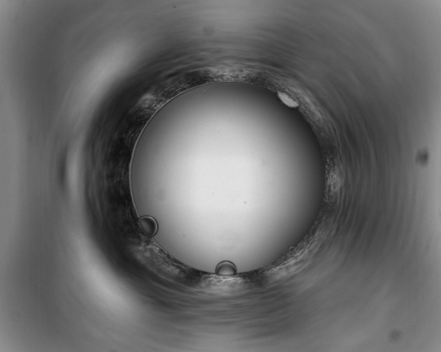 X0000100360429200806131019