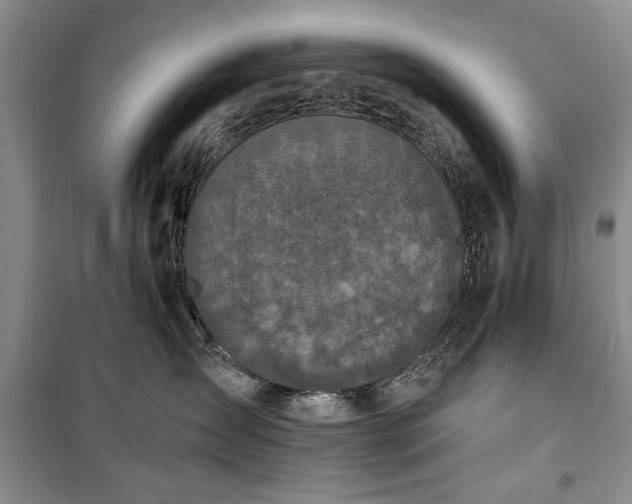 X0000100360431200806131019