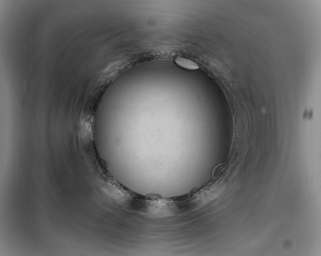 X0000100360432200806131019