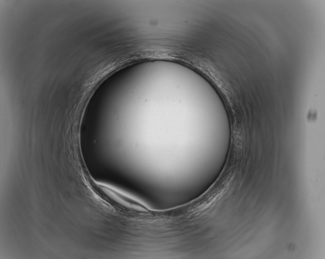 X0000100360433200806131018