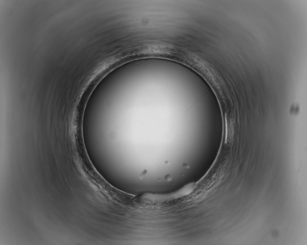 X0000100360435200806131018