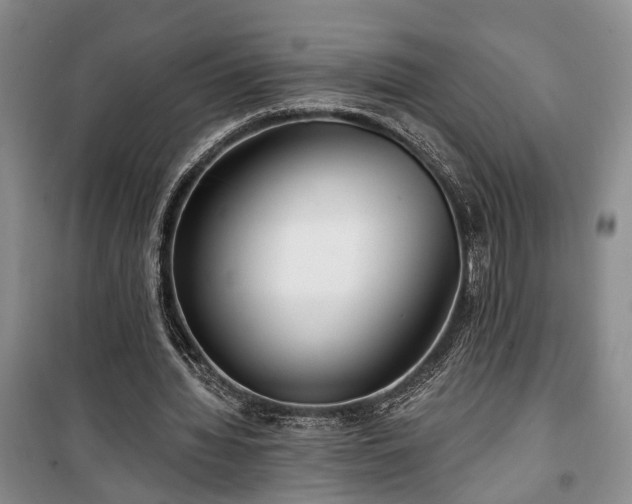 X0000100360436200806131018