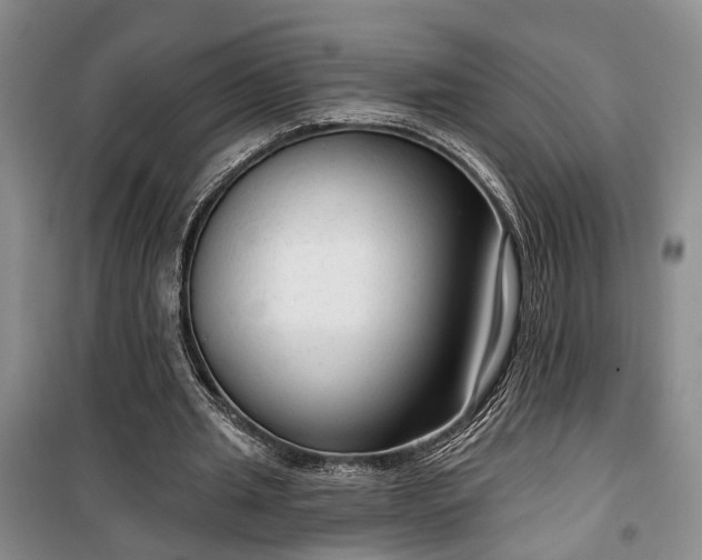 X0000100360437200806131018