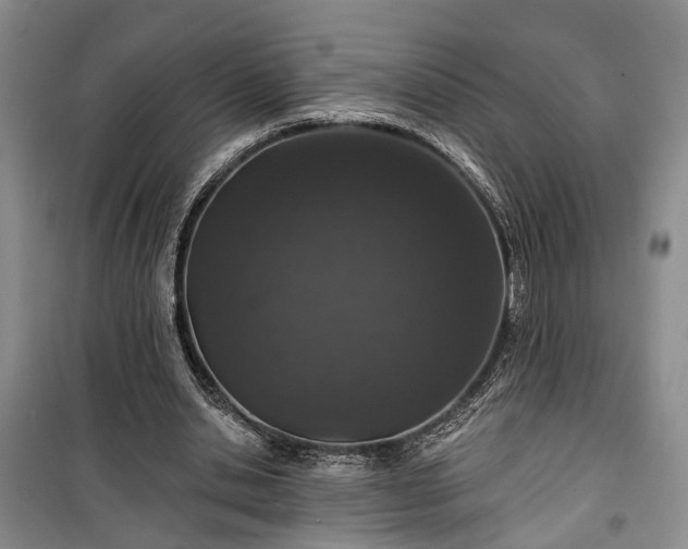 X0000100360438200806131018