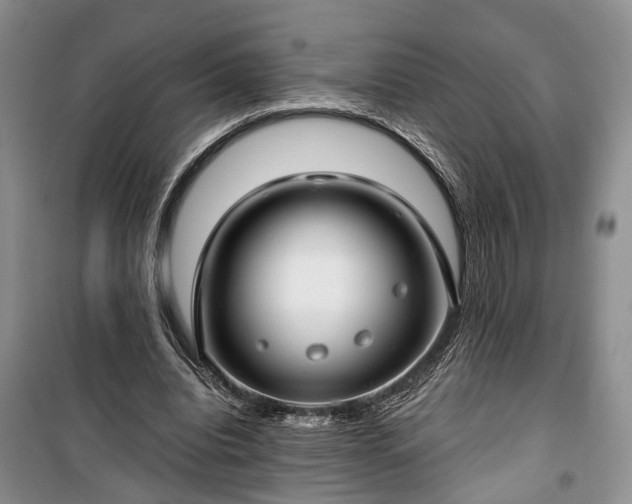 X0000100360440200806131018